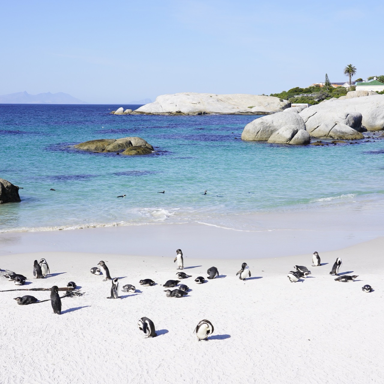 Cape Town