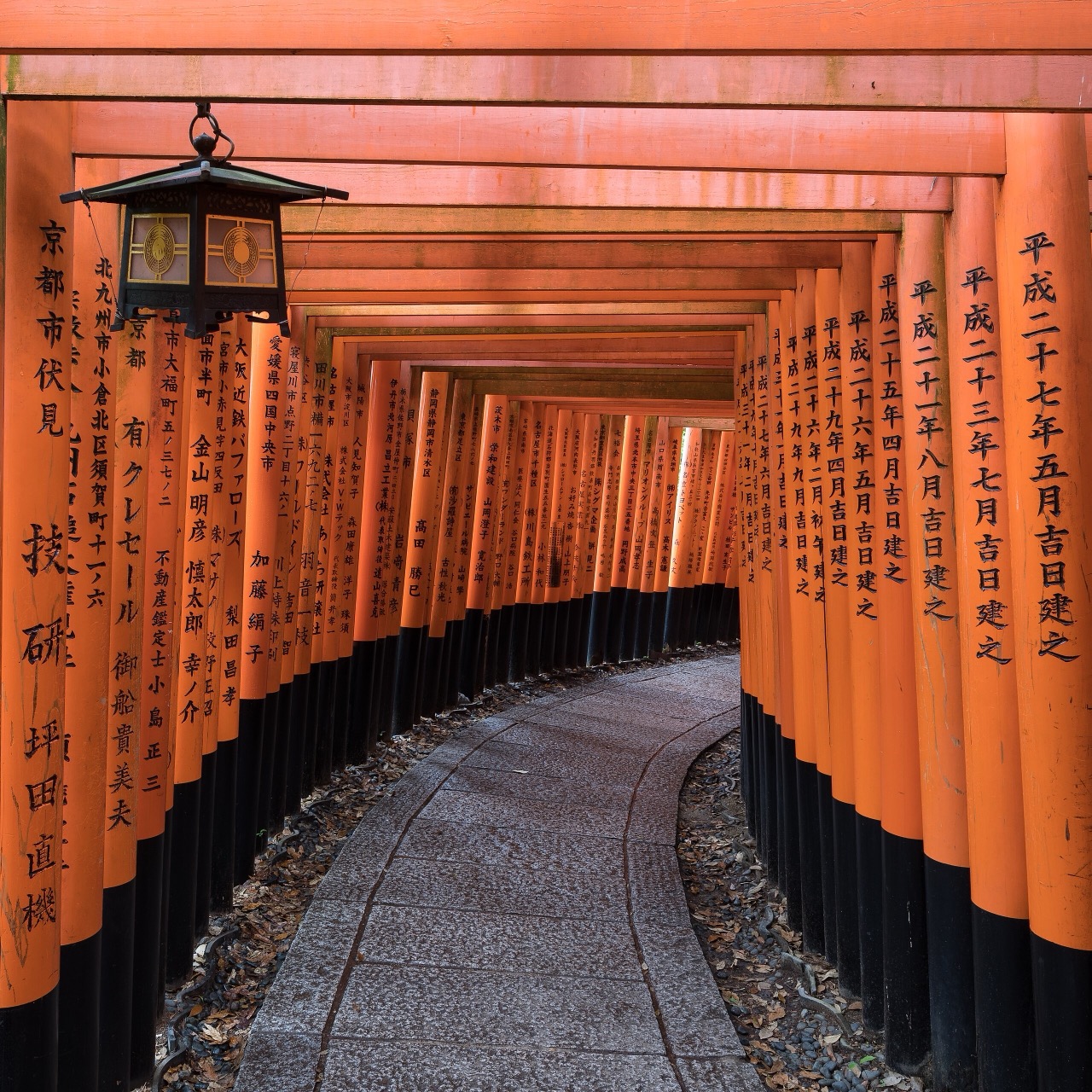 Japonya