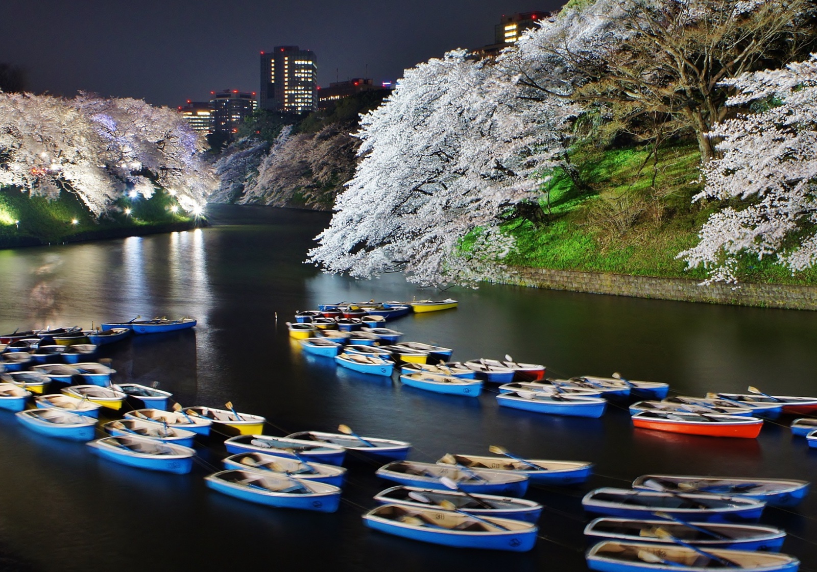 Japonya'da Dört Mevsim: Kiraz Çiçeğinden Momiji'ye