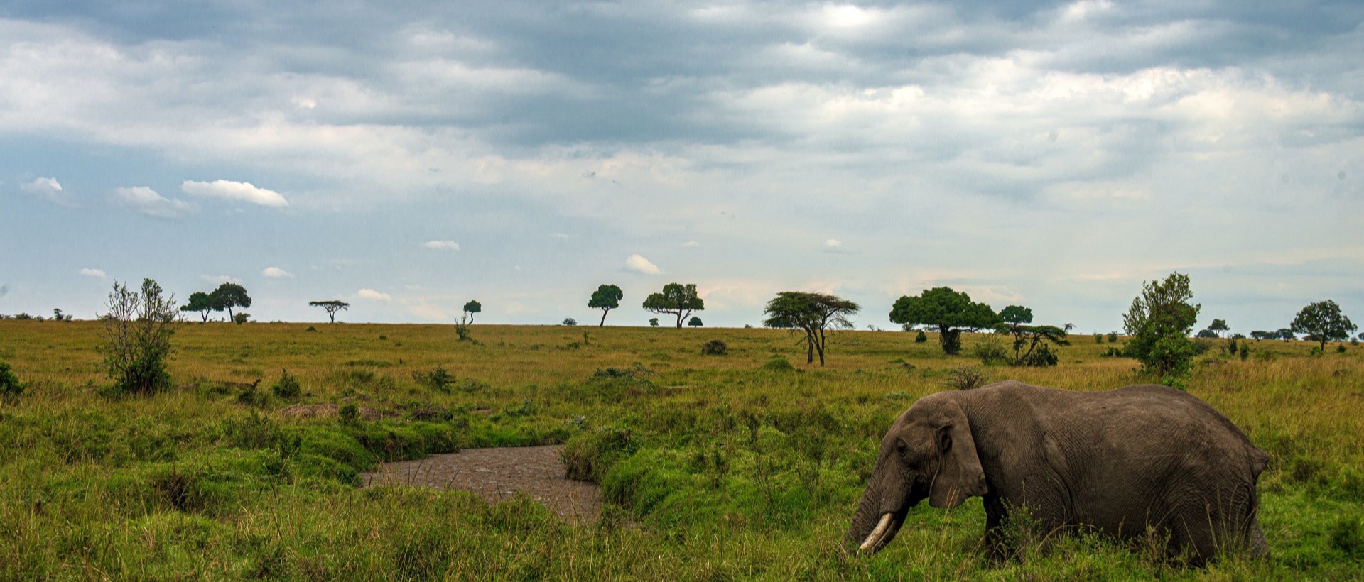 Kenya