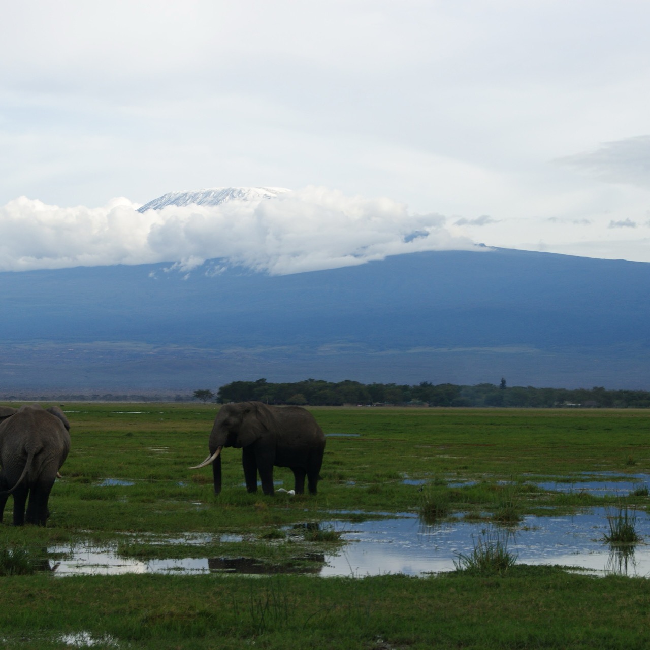Kenya